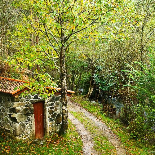 Ruta Das Férvedas 2 Carballo)