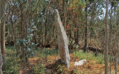 Ruta de los menhires.