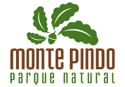 Andaina micológica por el Monte Pindo