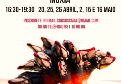 curso-de-marisco-1506411779