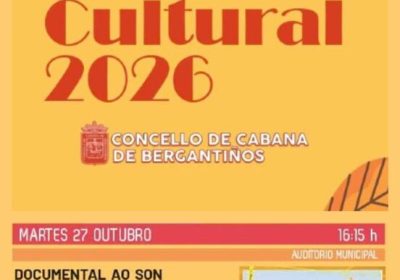 Cartel do documental Ao son da nova regueifa