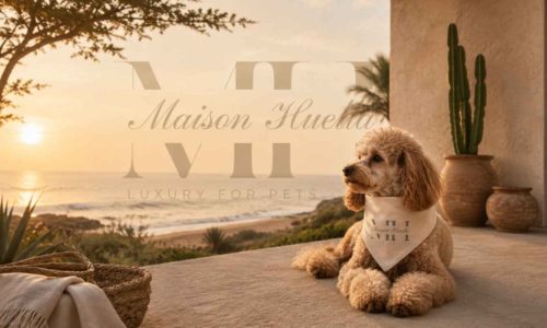 Maison Huella