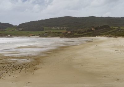 Playa de Lires