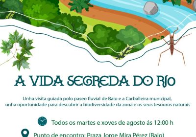 roteiro-vida-segreda-rio