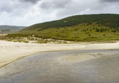 ruta-de-aves-campos-de-nemina-y-ria-de-lires-1505321946