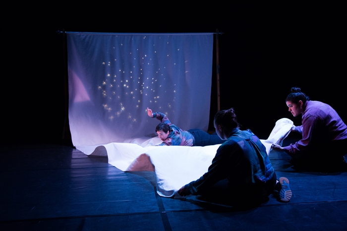 O pazo de cultura de carballo acolle 13 espectaculos ata abril dentro da rede galega de teatros e auditorios 1519374736