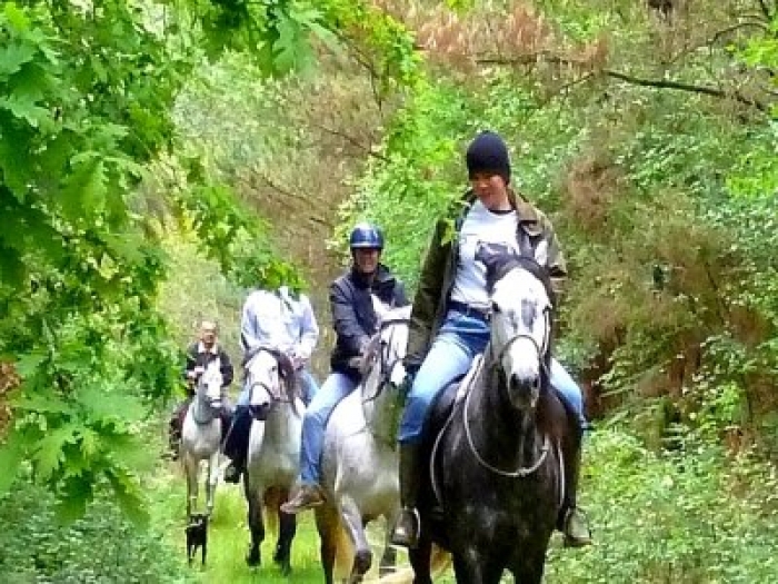 Rutas A Caballo 1506507164