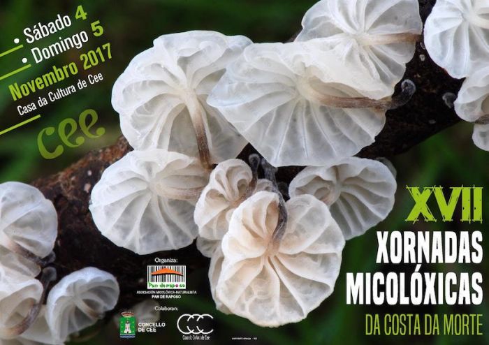 Xvii Jornadas Micologicas De Costadamorte 1508322920